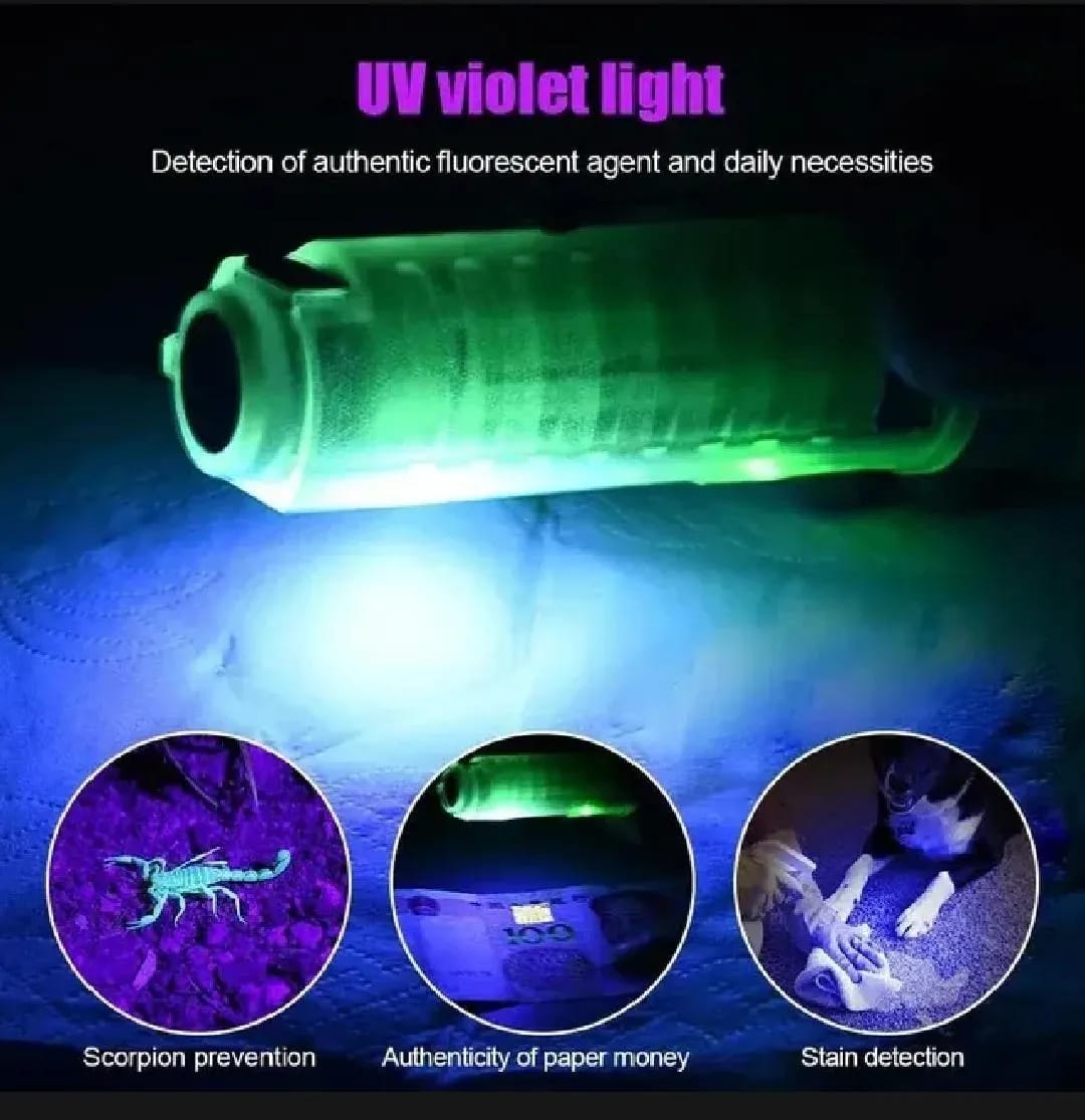 Rechargeable Green LED Flashlight with Type-C Port