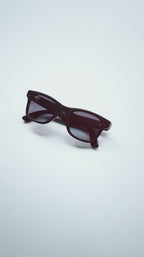 AI Smart Glasses